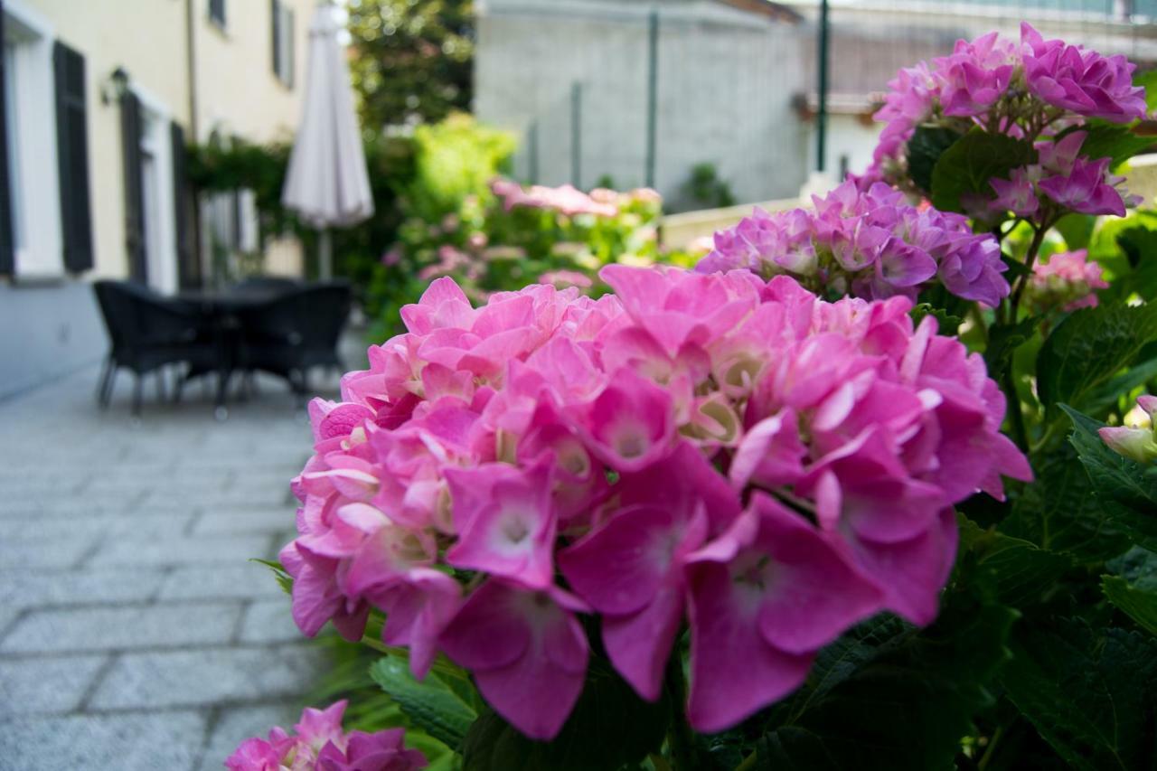 Giardino Delle Ortensie Cannobio Extérieur photo
